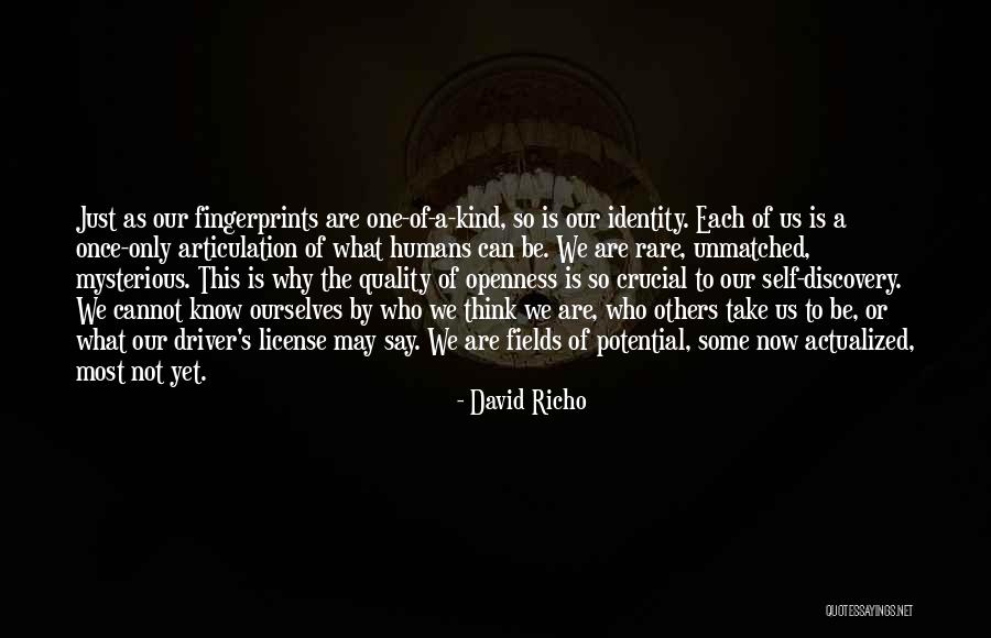 Actualized Self Quotes By David Richo Actualized Self Quotes By David Richo
