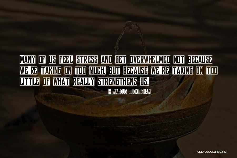 Actualizing Synonym Quotes By Marcus Buckingham Actualizing Synonym Quotes By Marcus Buckingham