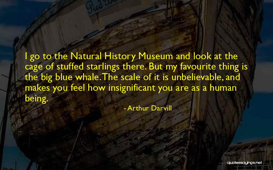 Acuerdo Definicion Quotes By Arthur Darvill Acuerdo Definicion Quotes By Arthur Darvill
