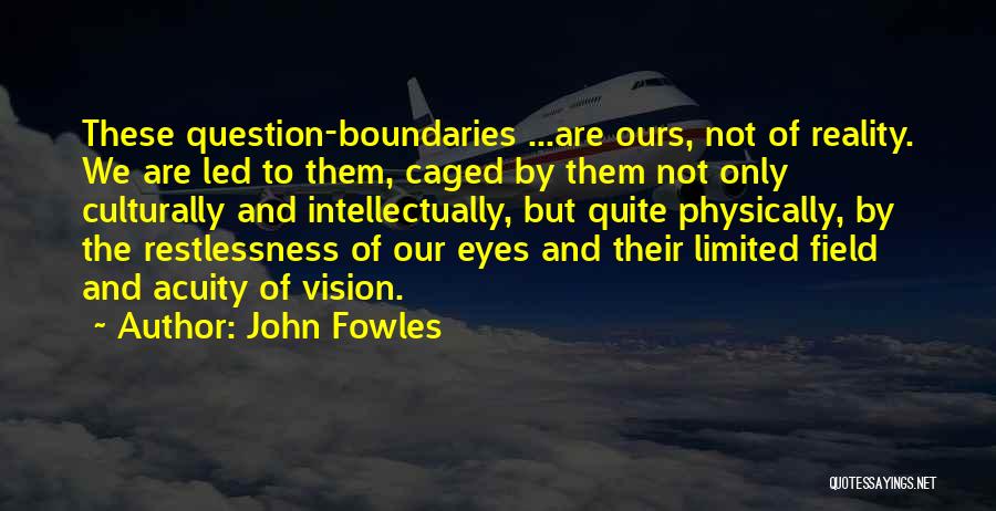 Acuity Quotes By John Fowles