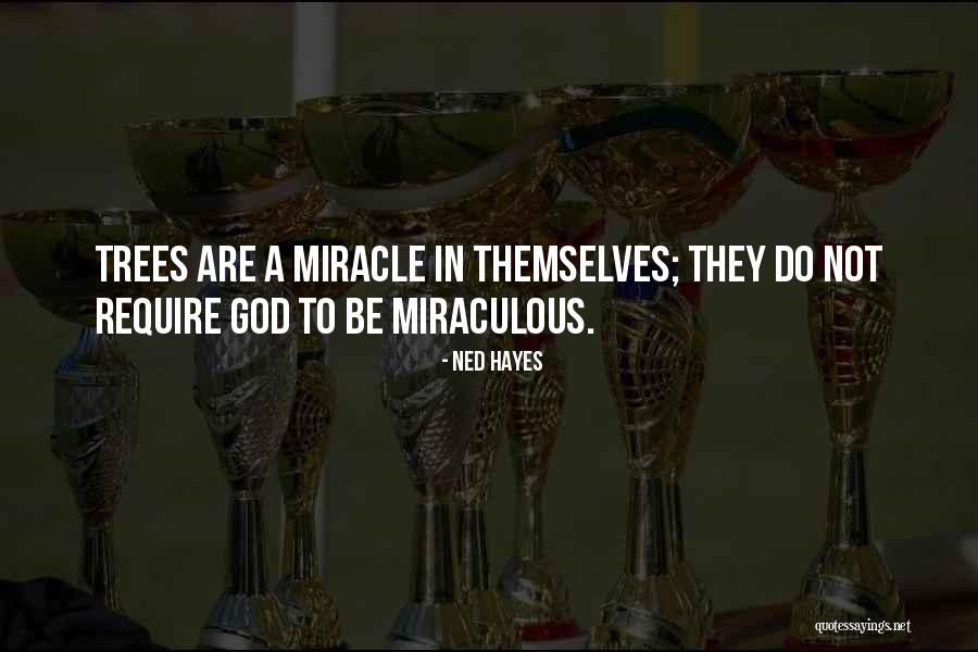 Acutercupcake Quotes By Ned Hayes Acutercupcake Quotes By Ned Hayes