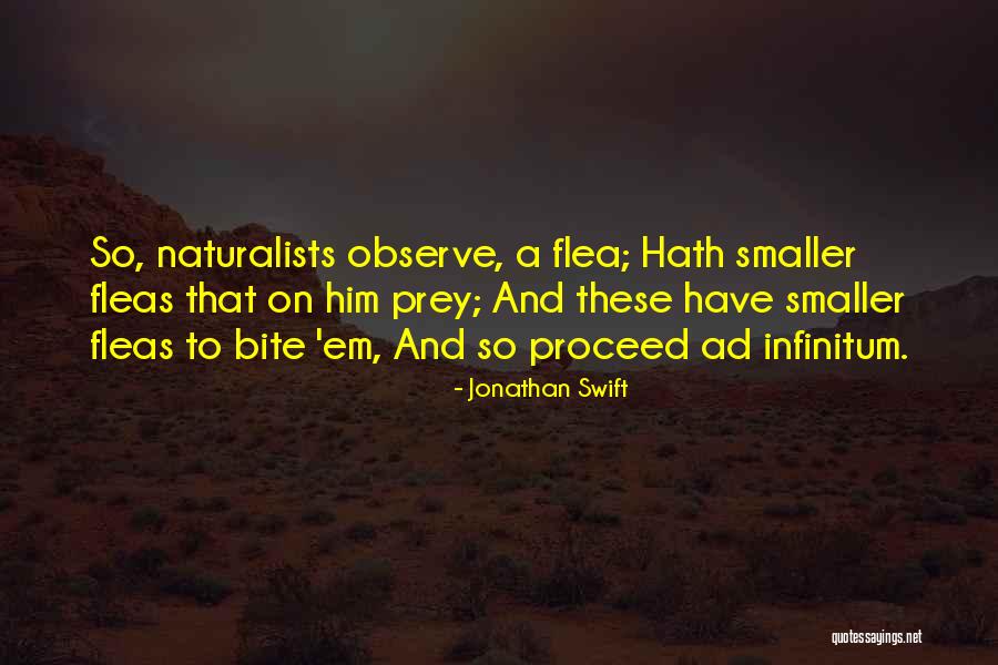 Ad Infinitum Quotes By Jonathan Swift