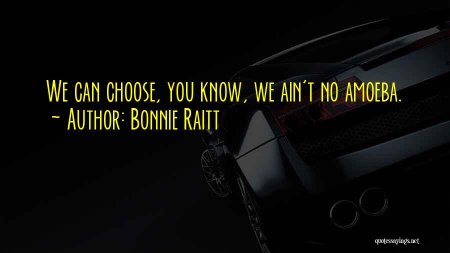 Adages Quotes By Bonnie Raitt