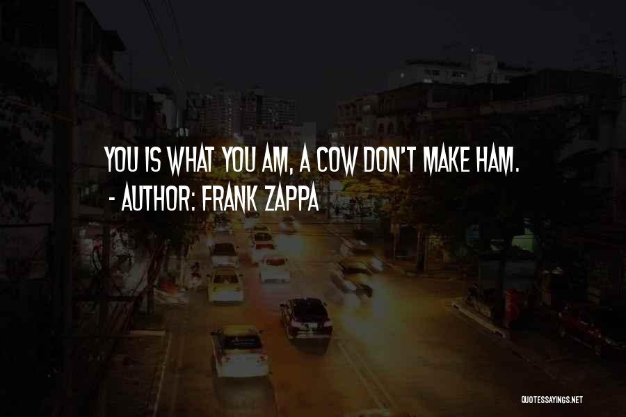 Adages Quotes By Frank Zappa