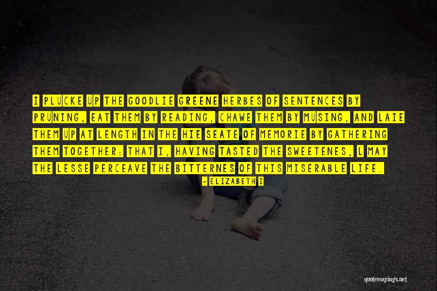Adaletli Insan Quotes By Elizabeth I Adaletli Insan Quotes By Elizabeth I