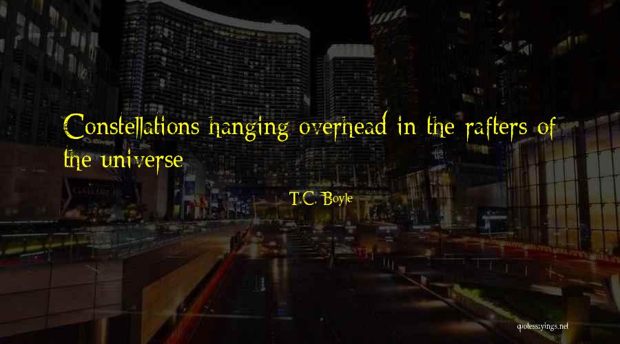 Adalgiza Antigas Quotes By T.C. Boyle Adalgiza Antigas Quotes By T.C. Boyle