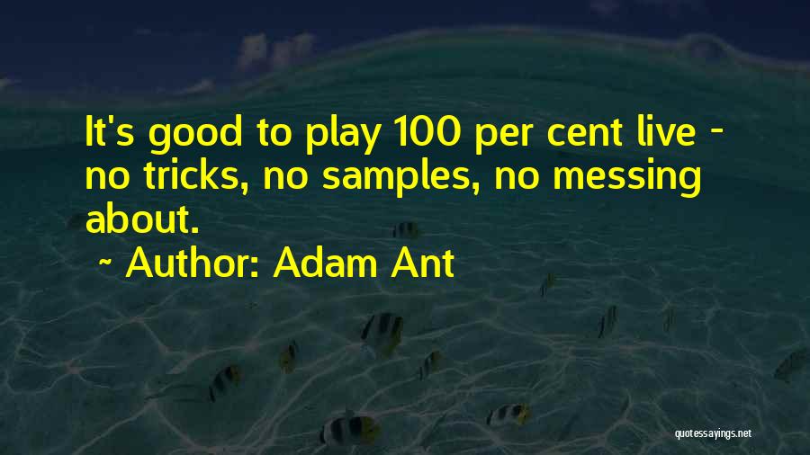 Adam Ant Quotes 1246615
