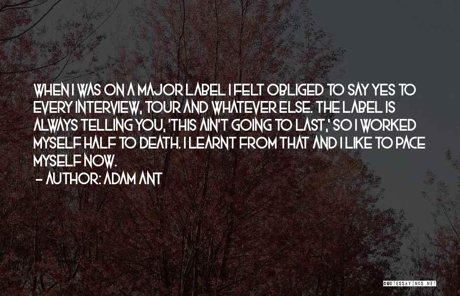 Adam Ant Quotes 1319314