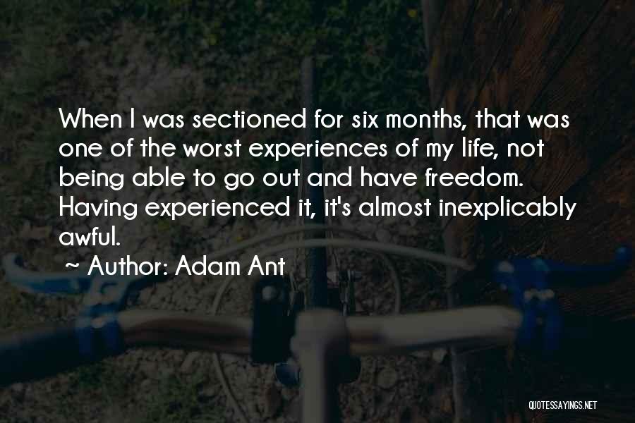 Adam Ant Quotes 1864144