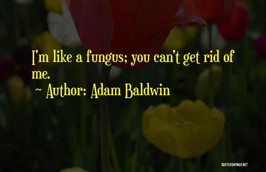 Adam Baldwin Quotes 540142