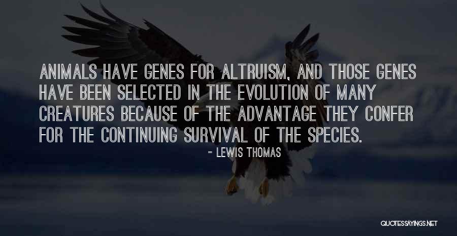 Adam Braverman Quotes By Lewis Thomas