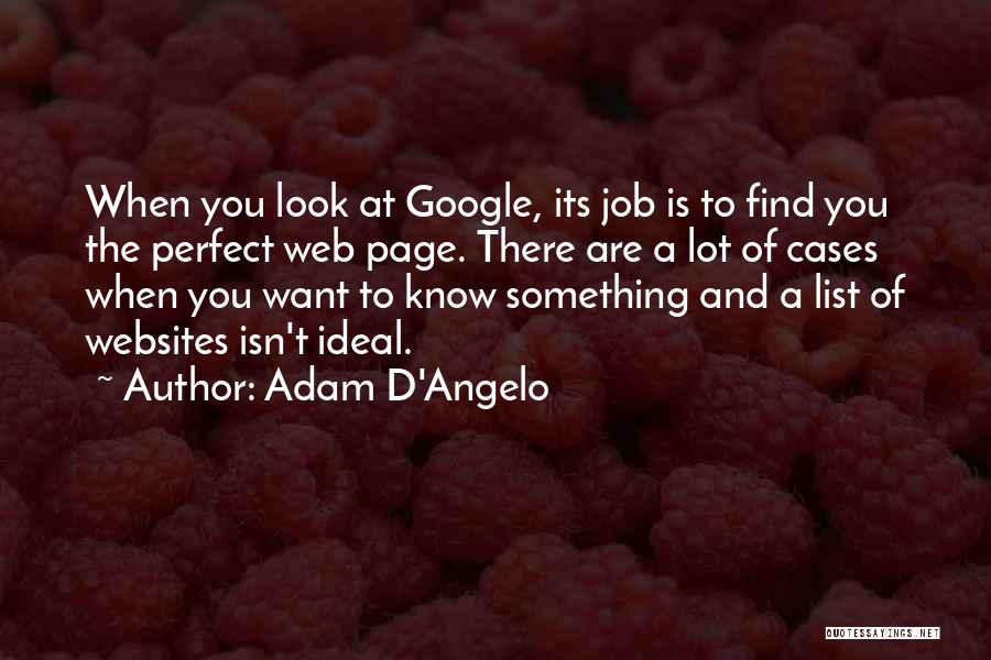 Adam D'Angelo Quotes 1019076