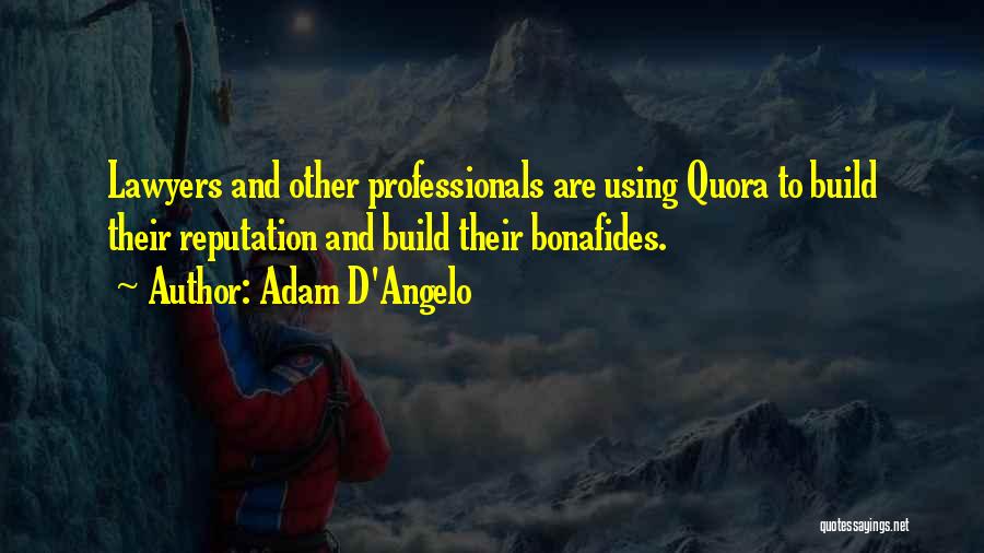 Adam D'Angelo Quotes 2262639