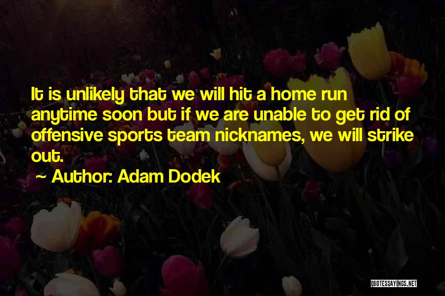 Adam Dodek Quotes 1476765