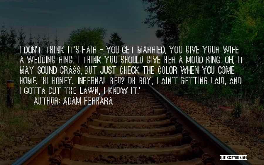 Adam Ferrara Quotes 1120201