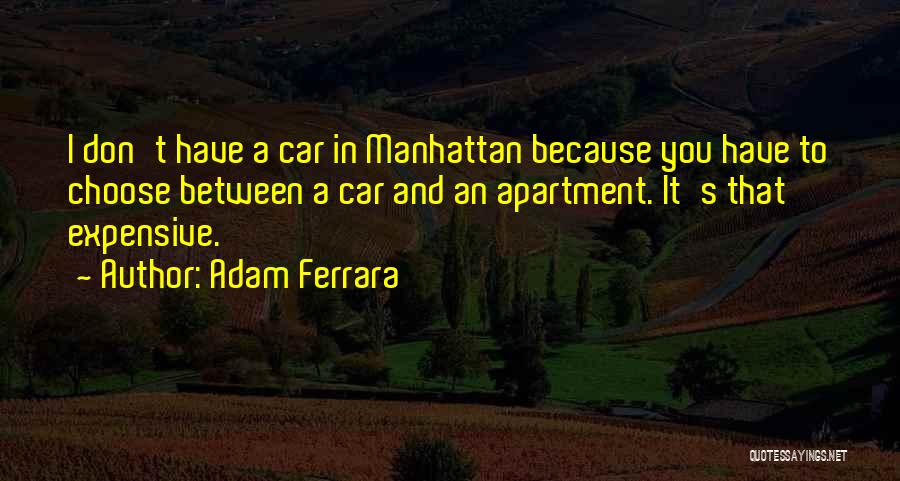 Adam Ferrara Quotes 1645844