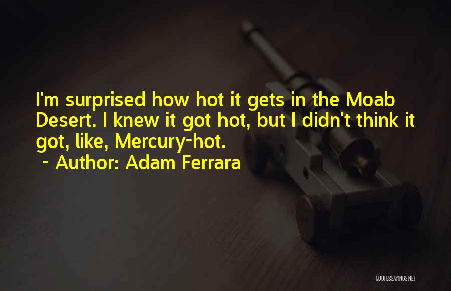 Adam Ferrara Quotes 577352