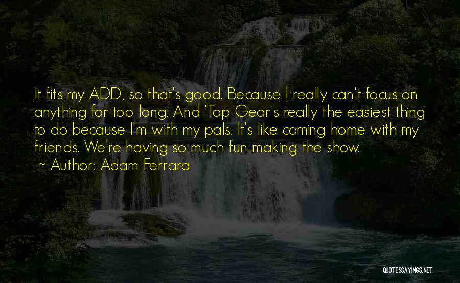 Adam Ferrara Quotes 933340
