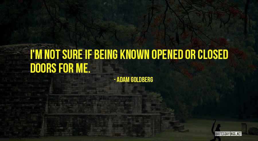 Adam Goldberg Quotes 465450 Adam Goldberg Quotes 465450
