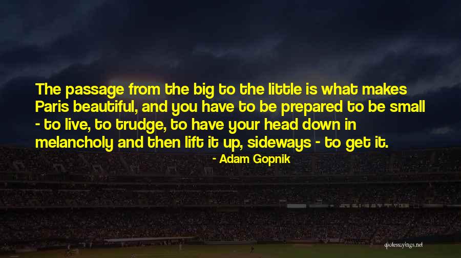 Adam Gopnik Quotes 158799 Adam Gopnik Quotes 158799
