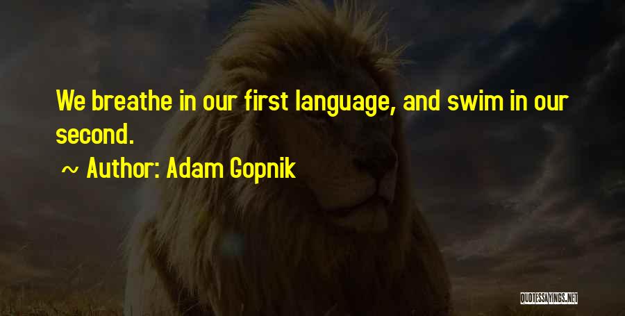 Adam Gopnik Quotes 1900027