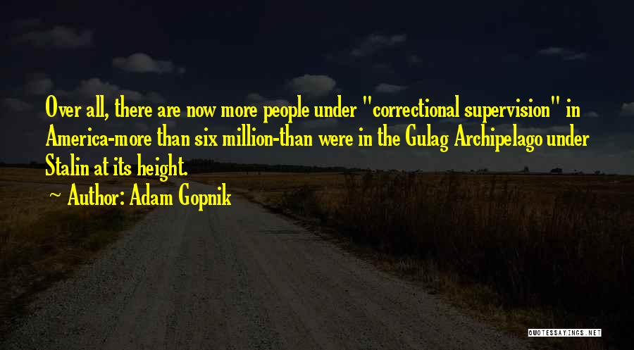 Adam Gopnik Quotes 2125491