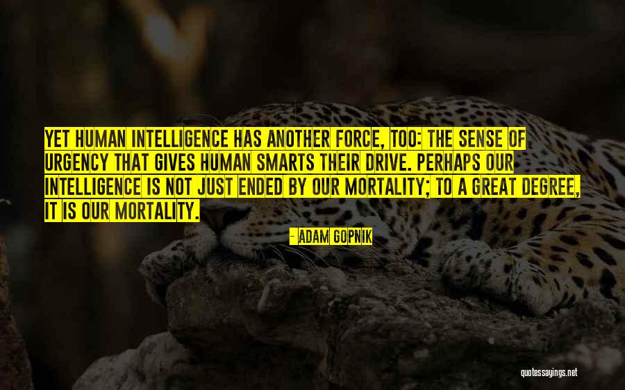 Adam Gopnik Quotes 604487 Adam Gopnik Quotes 604487