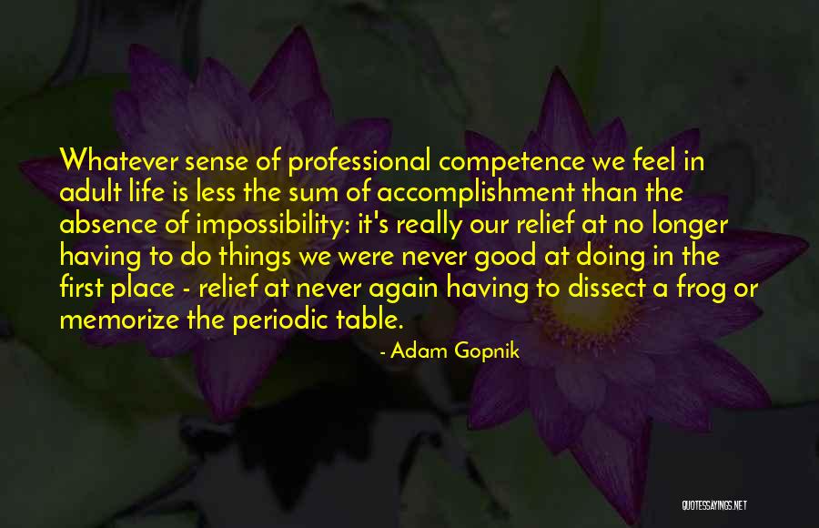 Adam Gopnik Quotes 972713