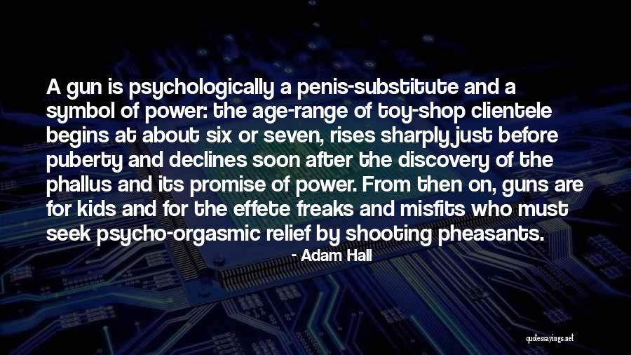 Adam Hall Quotes 2006703 Adam Hall Quotes 2006703