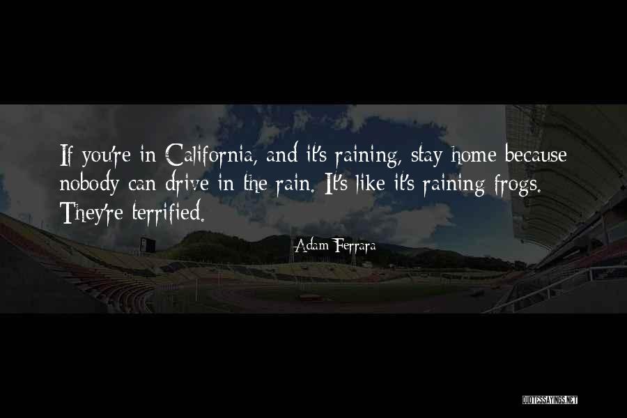 Adam If I Stay Quotes By Adam Ferrara Adam If I Stay Quotes By Adam Ferrara