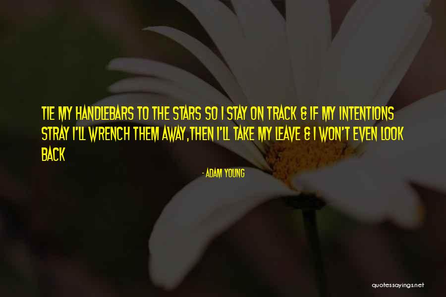 Adam If I Stay Quotes By Adam Young Adam If I Stay Quotes By Adam Young