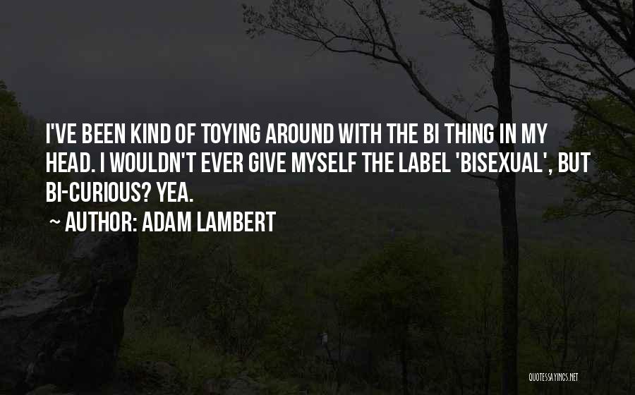 Adam Lambert Quotes 462779