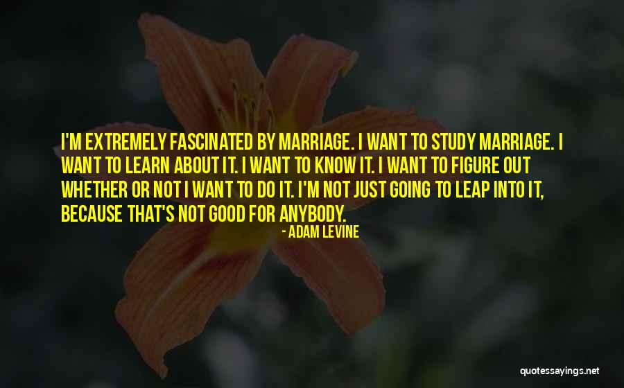 Adam Levine Quotes 1093779