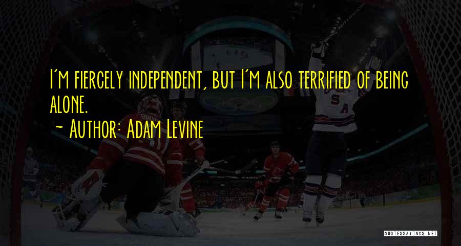 Adam Levine Quotes 243409
