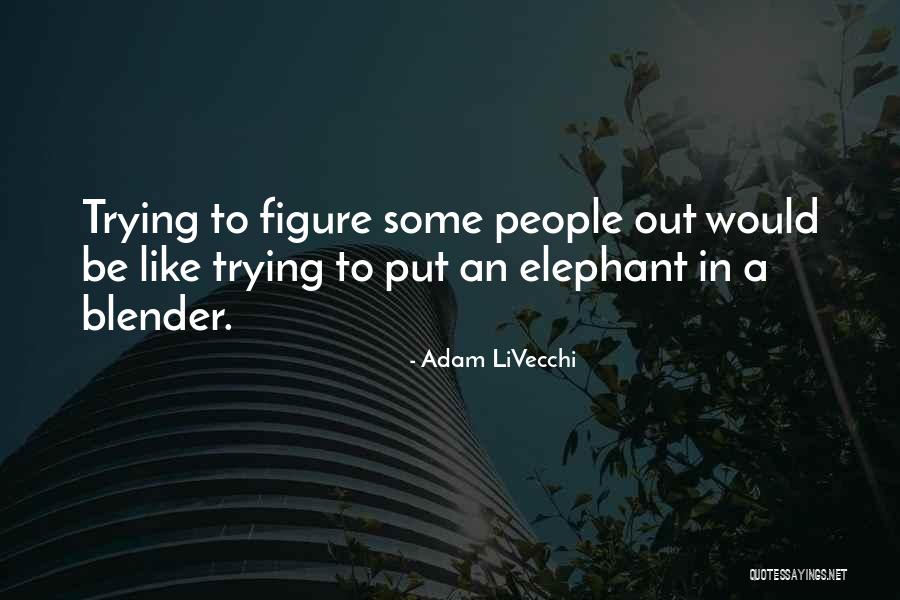 Adam LiVecchi Quotes 247008