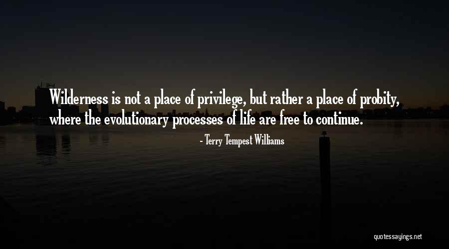 Adam Pierce Quotes By Terry Tempest Williams Adam Pierce Quotes By Terry Tempest Williams