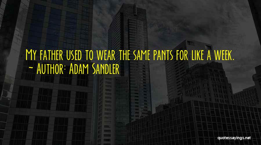 Adam Sandler Quotes 1045743