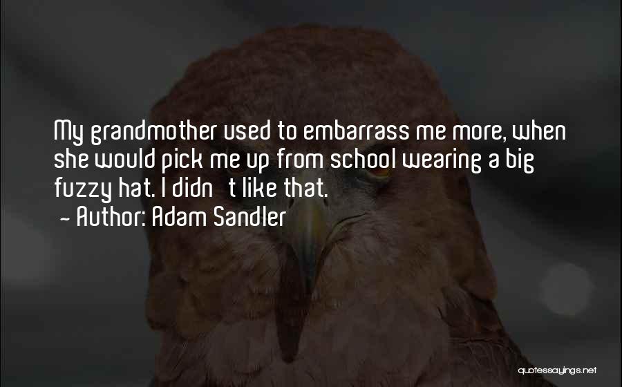 Adam Sandler Quotes 1236824