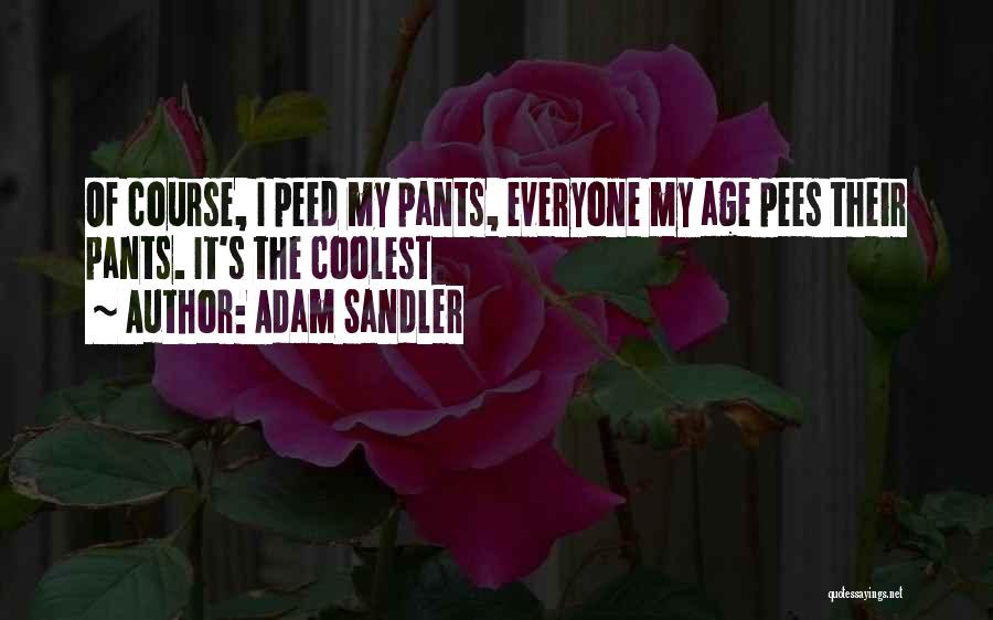 Adam Sandler Quotes 1288682