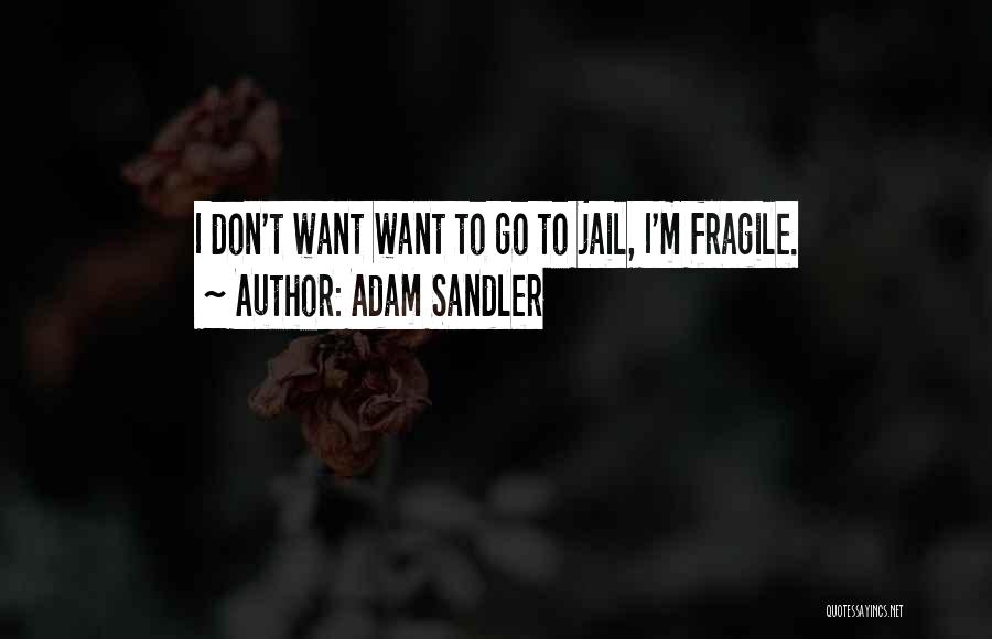 Adam Sandler Quotes 1705856