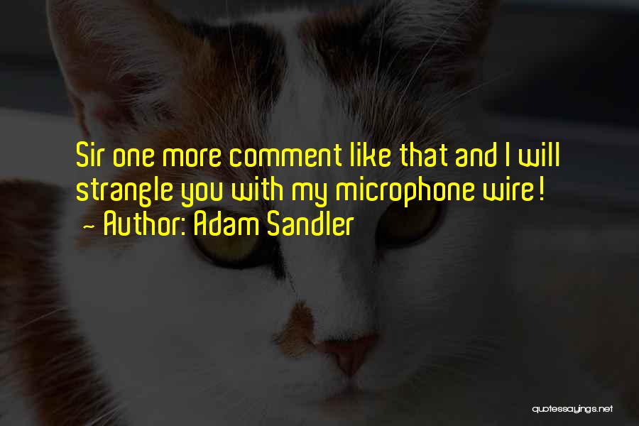 Adam Sandler Quotes 2171869