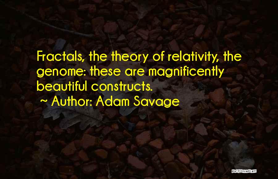 Adam Savage Quotes 1312099