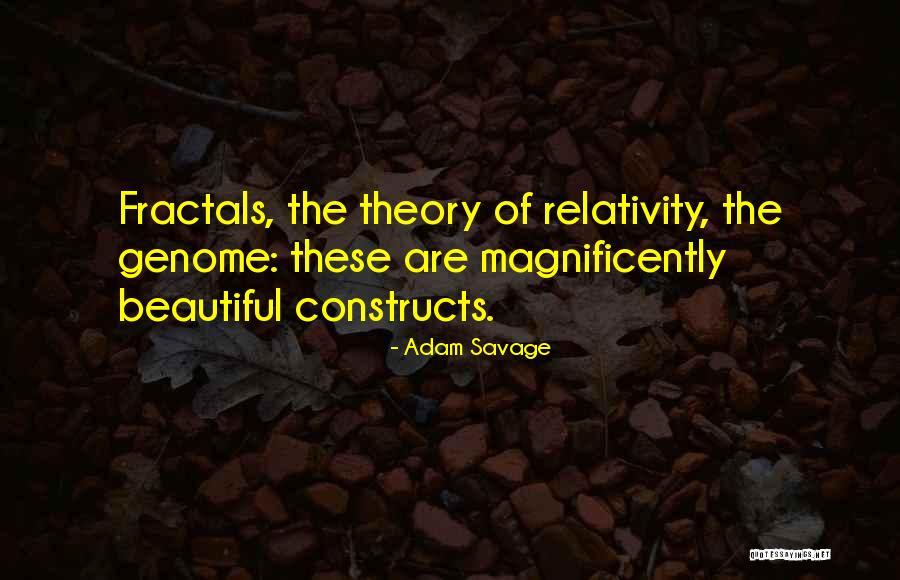 Adam Savage Quotes 1312099