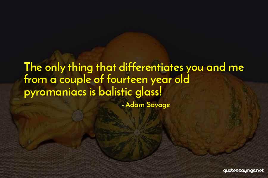 Adam Savage Quotes 2081463