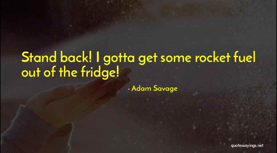 Adam Savage Quotes 663923