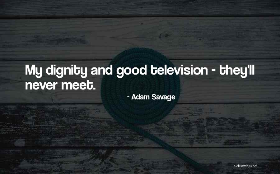 Adam Savage Quotes 689310