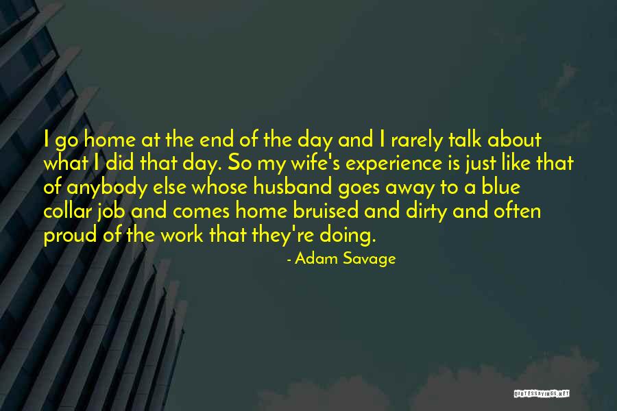 Adam Savage Quotes 960427