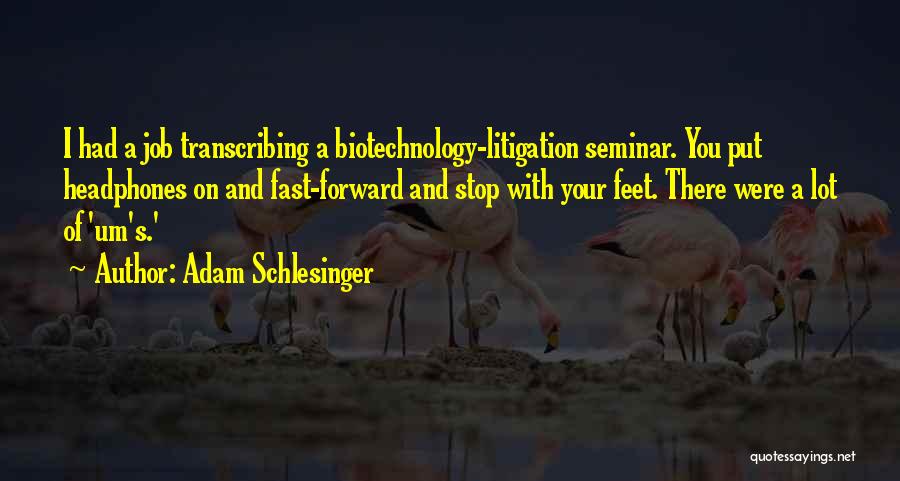 Adam Schlesinger Quotes 417324