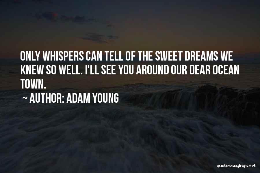 Adam Young Owl City Quotes By Adam Young