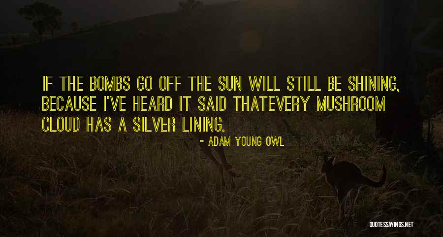 Adam Young Owl Quotes 1633669